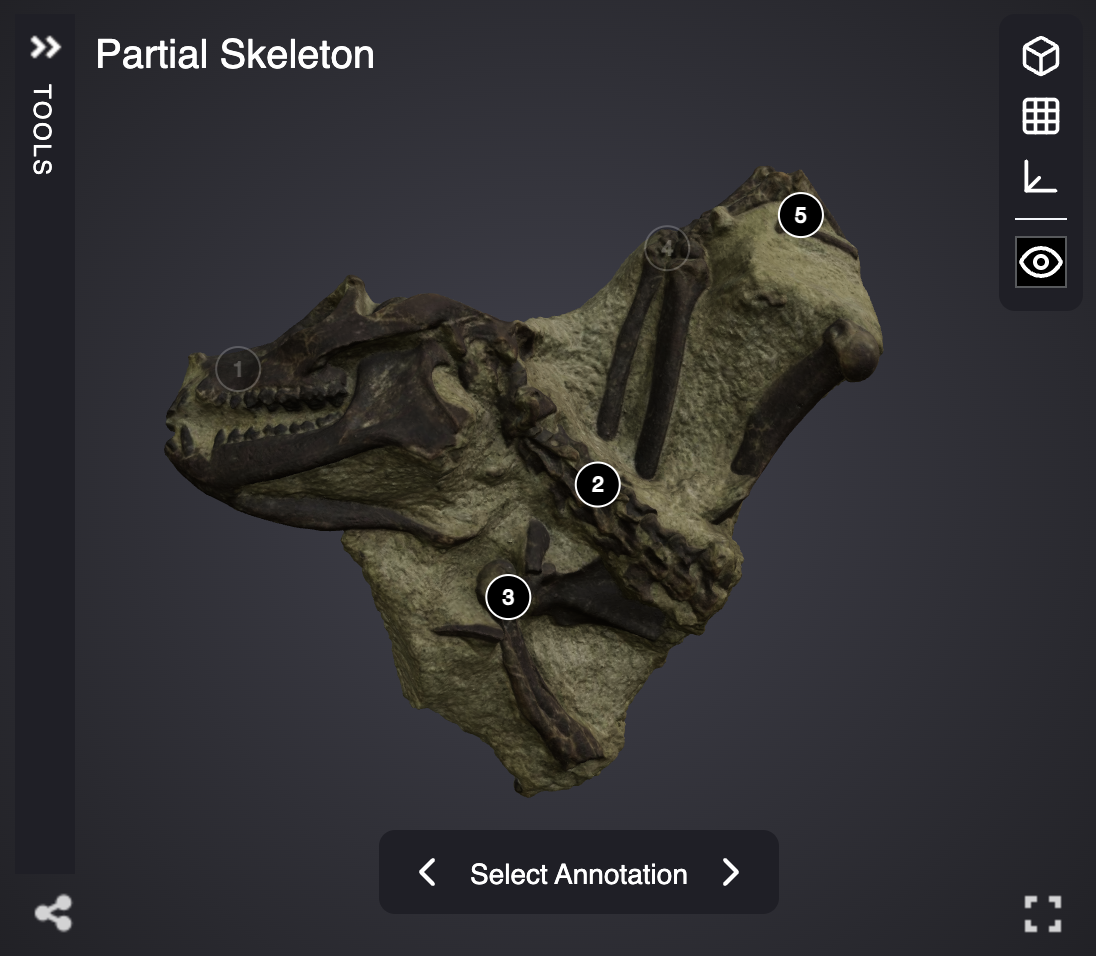 IIIF Aleph viewer screenshot